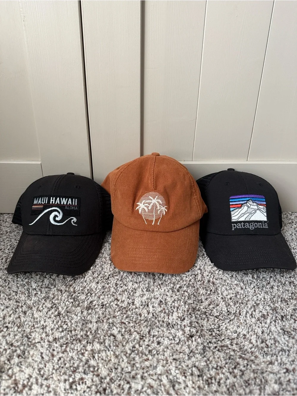Patagonia Black Mountain Patch Hat